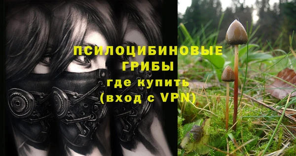 MESCALINE Белокуриха