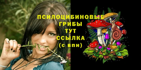 MESCALINE Белокуриха