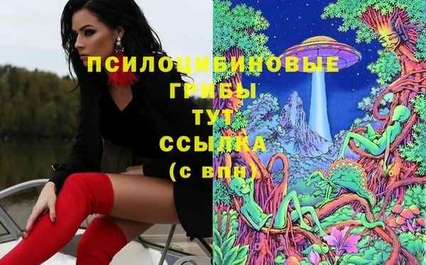 MESCALINE Белокуриха