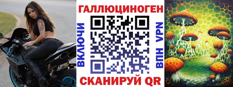 KRAKEN ТОР  Ахтырский  Псилоцибиновые грибы Magic Shrooms 